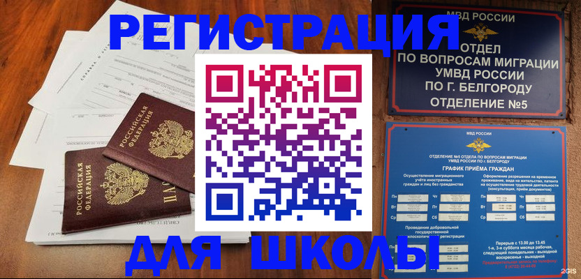 прописка поиск в Луге
